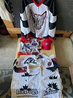 Full lot overview: autographed jersey, hat, scarf, towels, mini jerseys