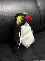 Right side profile of Ty Beanie Baby penguin showing yellow crest and red beak