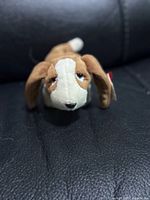 Front view of brown and white Ty dog plush on black surface