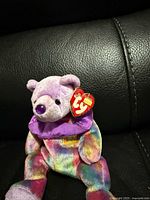 Front view of Ty Beanie Baby Circus bear showing tag and chest patch