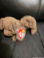 Front view of brown dog Ty Beanie Baby showing face, tag visible