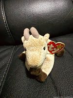 Front view of Ty deer plush showing tag and horns