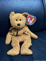 Front view of brown Ty Beanie Baby bear sitting on leather surface, hang tag visible