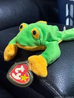 Full view of the Ty Beanie Babies frog showing swing tag and coloration