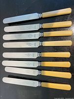 Eight matching knives laid out showing full length and handles