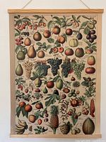 Full view of fruit poster in magnetic wooden frame