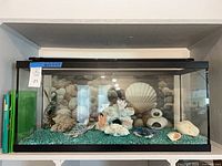 Front view of aquarium showing glass tank, black trim, gravel, decor and background