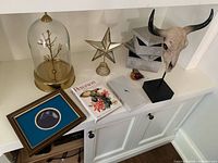 All items grouped on cabinet top including cloche, star, glass bird, skull on stand, framed bird art, two birding books