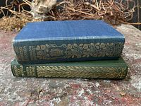 Two cloth hardcover books stacked showing gilt spines