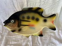 Obverse of molded plastic fish tray showing coloration and overall condition