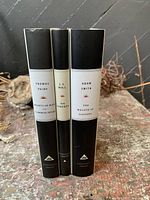 Spine view of three Everyman’s Library hardcovers Paine, Mill, Smith