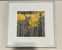 Full view of framed print showing image, mats and frame