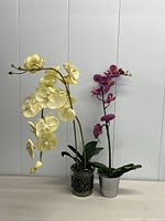 Both orchid arrangements side by side