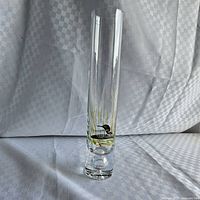Full view of tall clear stemmed glass showing shape and height