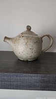 Front view of speckled pottery teapot showing spout, body and lid