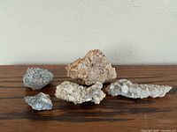 All five mineral specimens displayed on wooden surface