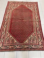 Full top-down view of entire rug showing pattern and border