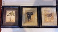 Three framed prints side-by-side showing subjects