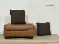 Front view entire lot showing ottoman and pillows