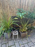 Overall view of raised planter, two pots, and metal stand