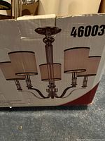 Manufacturer box showing fixture design and model number 46003