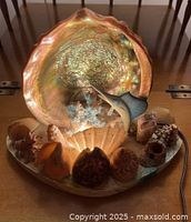 Lamp illuminated showing abalone shell interior, assorted shells, sailfish figure