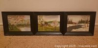 All three framed paintings side by side on floor showing full lot