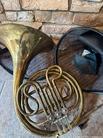 French horn coiled body, rotary valves and paddles visible