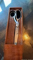 Shears inside wooden case showing overall design