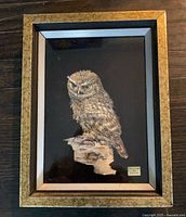 Full frontal view of framed owl decoupage