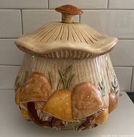 Front view of ceramic mushroom soup jar showing raised mushroom design