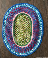 Full view of multicolour oval braided rug on wood floor