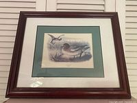 Front view of framed duck print showing image, mat and frame