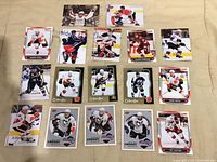 Front view showing all 17 NHL trading cards