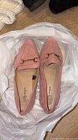 Top view of pair of pink suede loafers showing pointed toes and gold-tone bit detail
