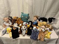 Group shot of entire assortment of plush toys and puppets