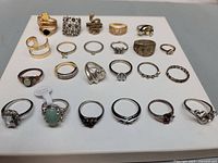 Group shot showing all 24 rings on display board