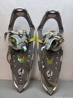 Front view of both snowshoes showing overall condition and bindings