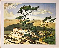 Full view of unframed "White Pine" print showing image and white border