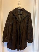 Full view of dark brown fur coat hanging