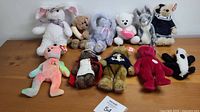 Group shot of all 11 Beanie Babies arranged on table