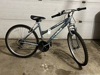 Full side view of Tribal Devine mountain bike showing frame, wheels, and overall condition
