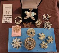 all 13 brooches displayed on brown and blue background with lot note