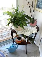 Overview of four potted plants on small table by window