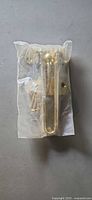 Sealed brass finish bolt lock with screws in plastic