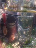 Front view of larger kiln showing cylindrical body, latch handle, side control box, moss on lid, surrounding vegetation