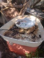 Full view of potter's wheel showing basin, wheel head and stand