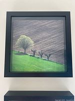 Front view of framed photograph showing entire image and frame