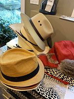 Group of straw, safari, cowboy and red fur-lined hats