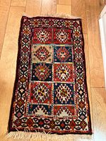 Full view of rug showing overall design and fringe